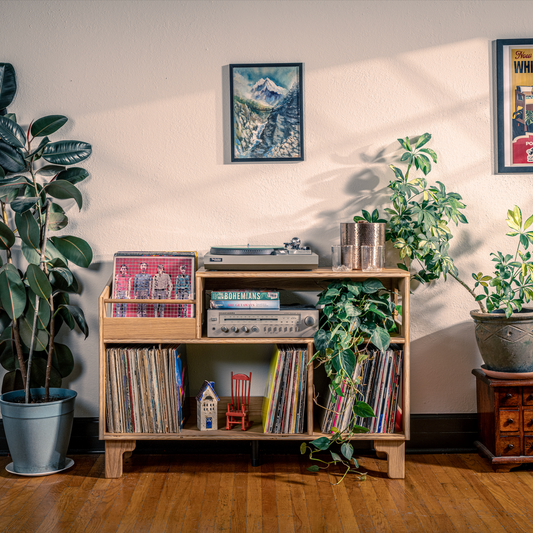 Room interior with vinyl records, plants, and decor on wooden shelves.