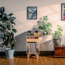 Load image into Gallery viewer, Room interior with plants, record player, and posters on a wall.