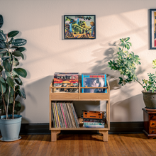 Load image into Gallery viewer, Room interior with vinyl records on a wooden shelf, plants, and framed pictures on the wall.