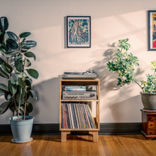 Load image into Gallery viewer, Room interior with vinyl records, plants, and wall art