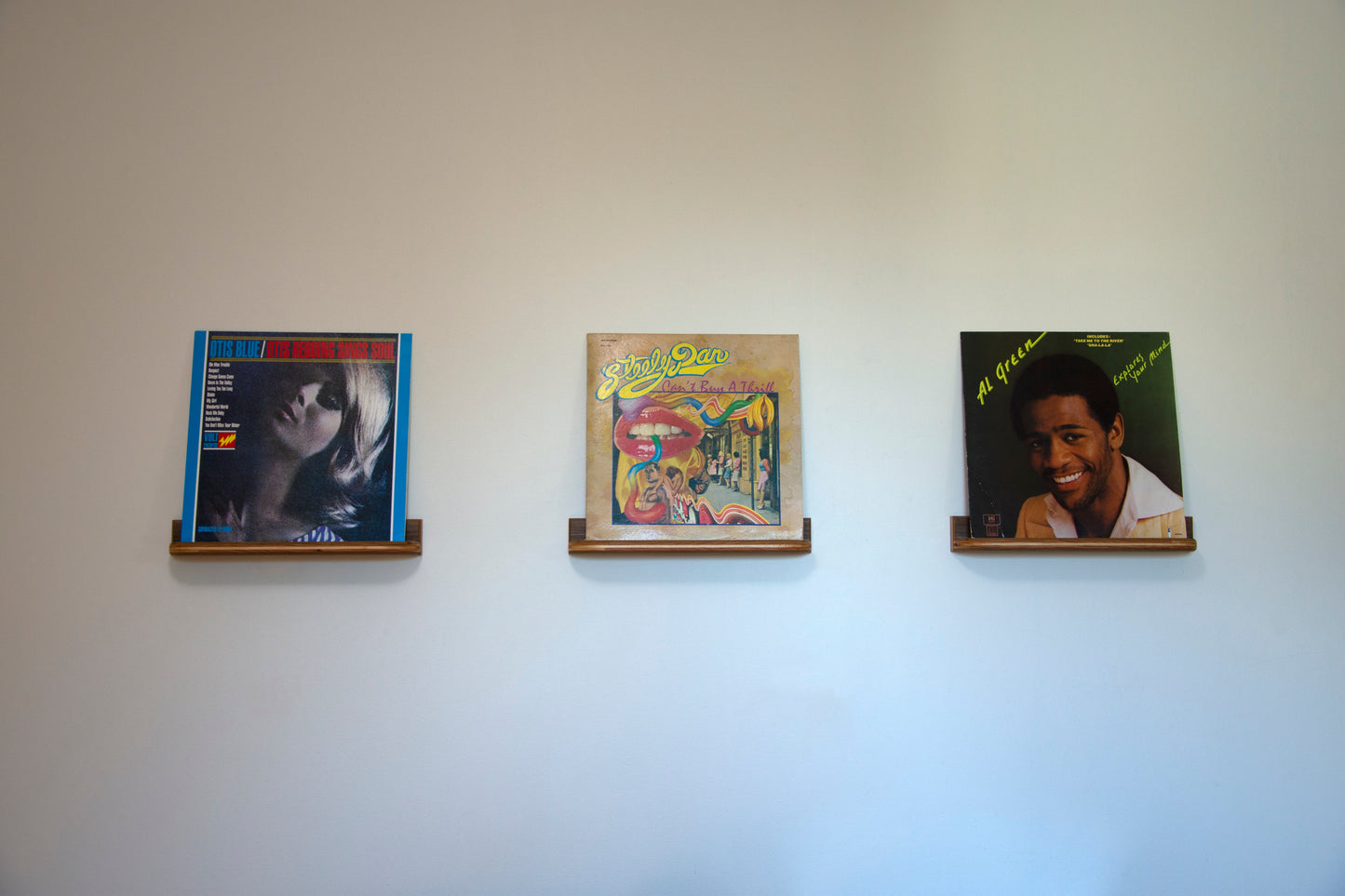 Floating Walnut Vinyl Record Display Shelf