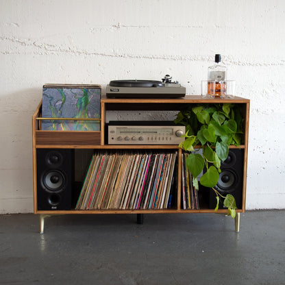 Walnut "Headliner" Vinyl Record Storage Cabinet