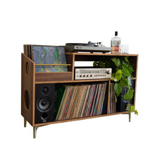 Load image into Gallery viewer, Walnut &quot;Headliner&quot; Vinyl Record Storage Cabinet
