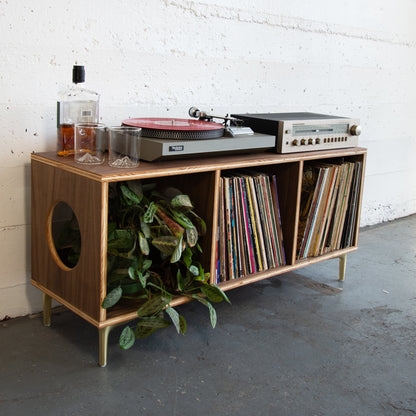 Wooden walnut vinyl record console. Plant, white background
