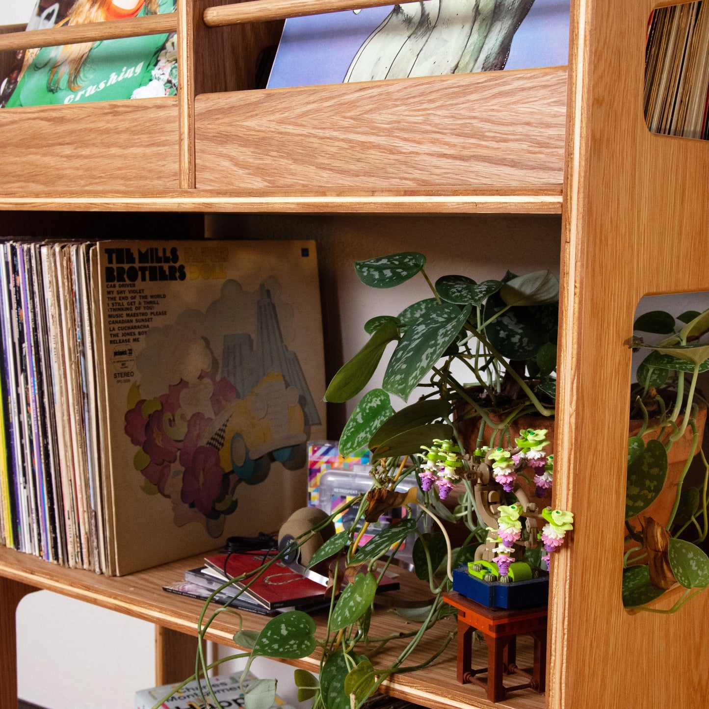 A wooden record shelf filled with vinyl records, books, and potted plants, photographed in a real indoor setting.