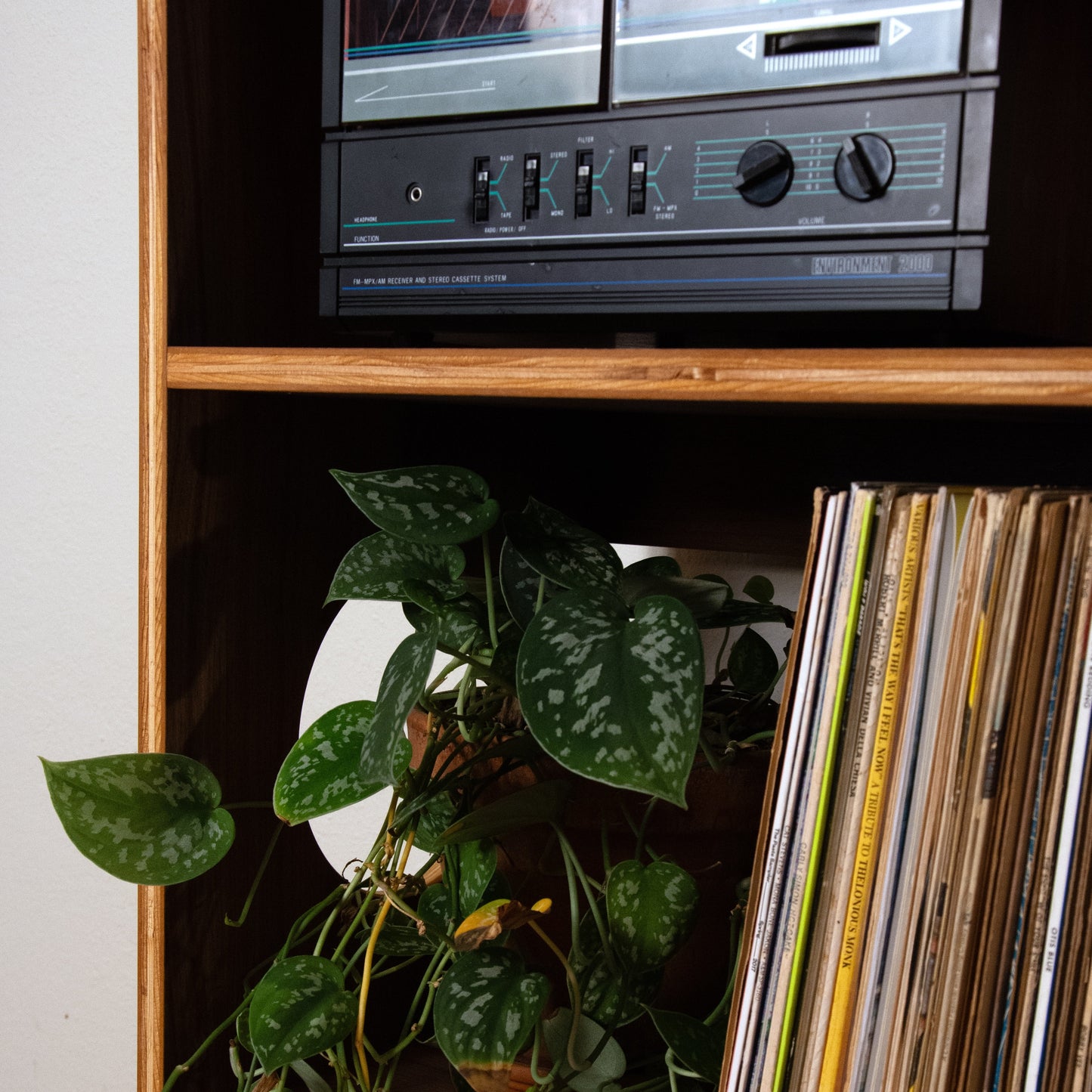 A wooden record shelf filled with vinyl records, a green trailing houseplant, and a vintage television set on the top shelf.