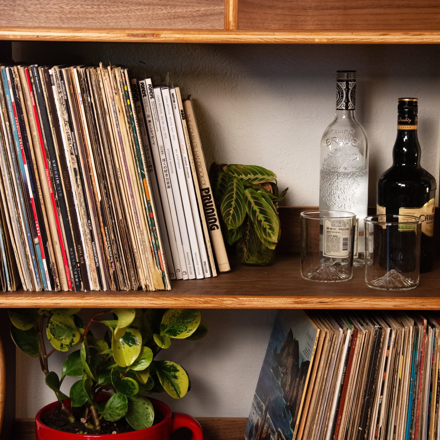 A wooden shelf filled with vinyl records, books, a potted green plant in a red polka-dot mug, two bottles, and a colorful framed print featuring a woman's face.