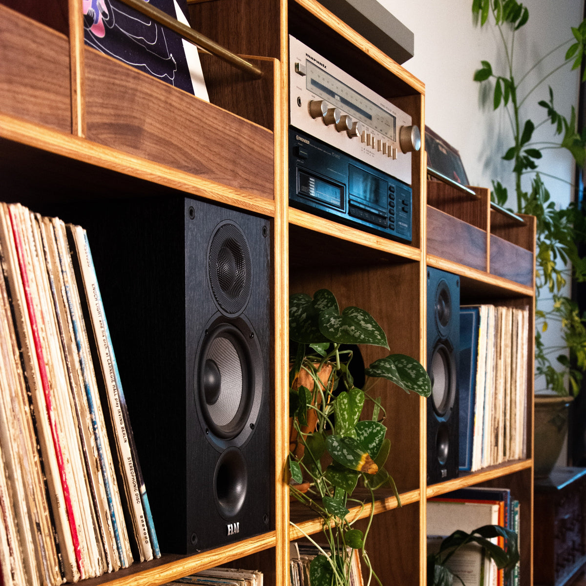 A wooden record shelf unit filled with vinyl records, black speakers, a vintage radio, and trailing green houseplants in a home interior setting.
