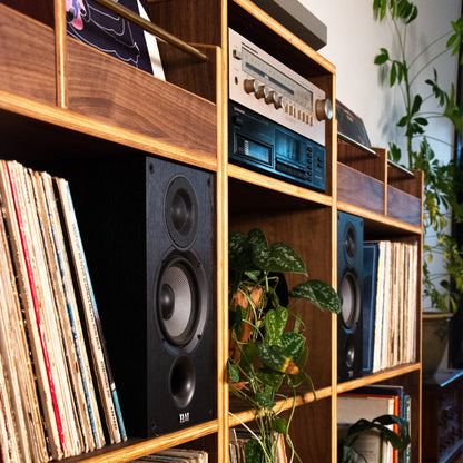 A wooden record shelf unit filled with vinyl records, black speakers, a vintage radio, and trailing green houseplants in a home interior setting.