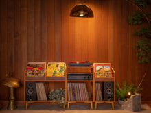 Load image into Gallery viewer, &quot;The Double Sidekick&quot; Walnut Vinyl Record Storage Cabinet
