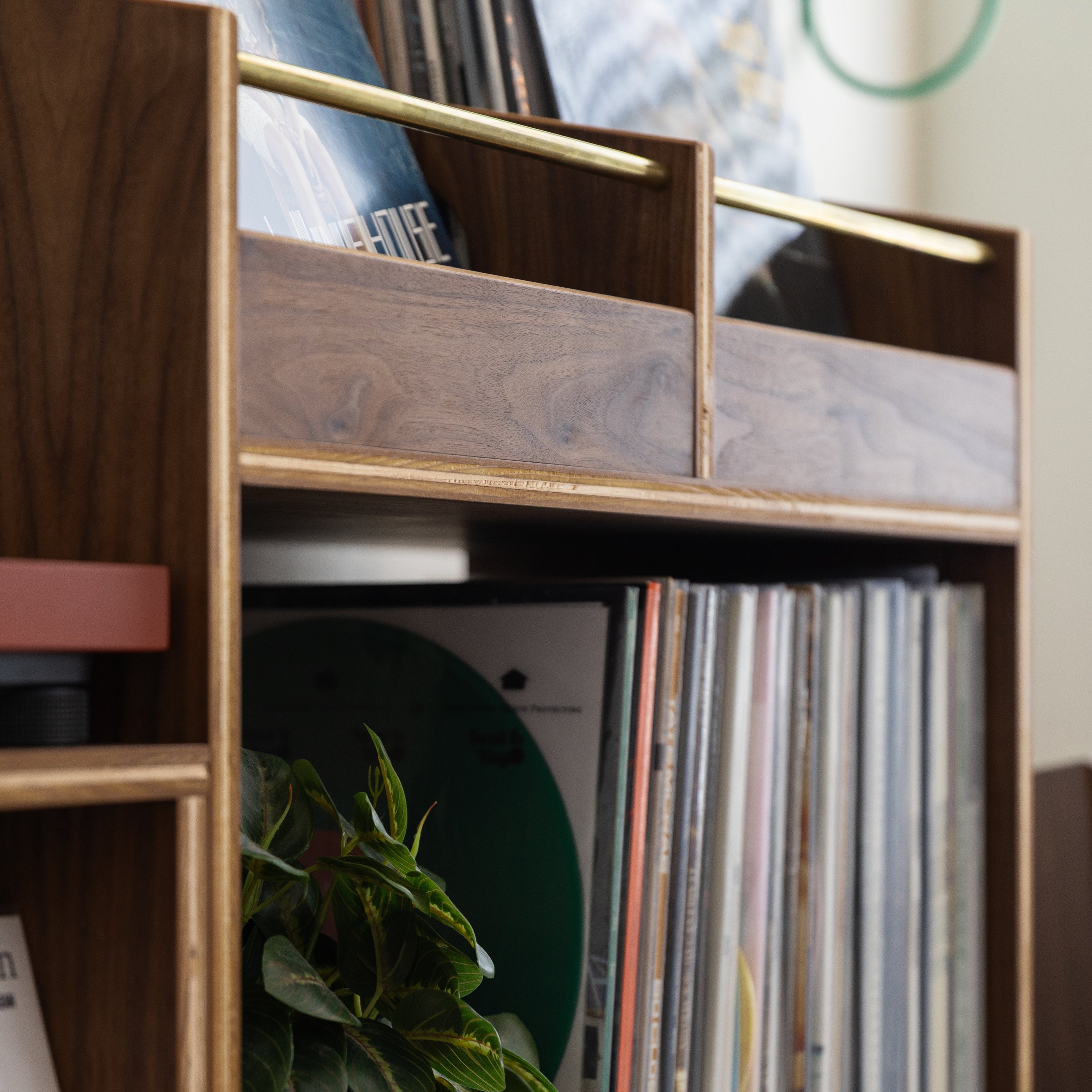 A close-up of a dark wood record shelf filled with vinyl records, featuring a potted green plant in a woven basket on one of the shelves.