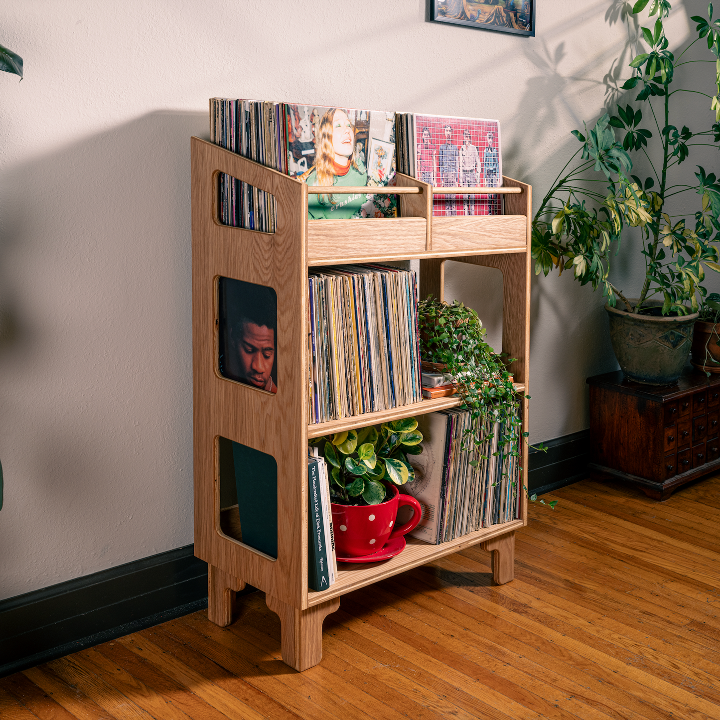 A light natural wood record shelf styled in a home corner with potted plants, holding vinyl records, books, and small decorative items.