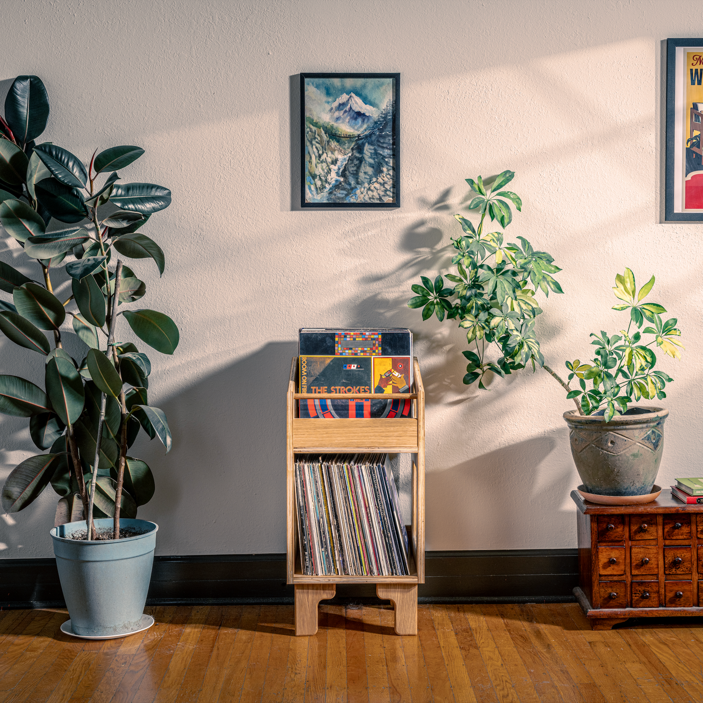 Room interior with plants, record player, and posters on a wall.