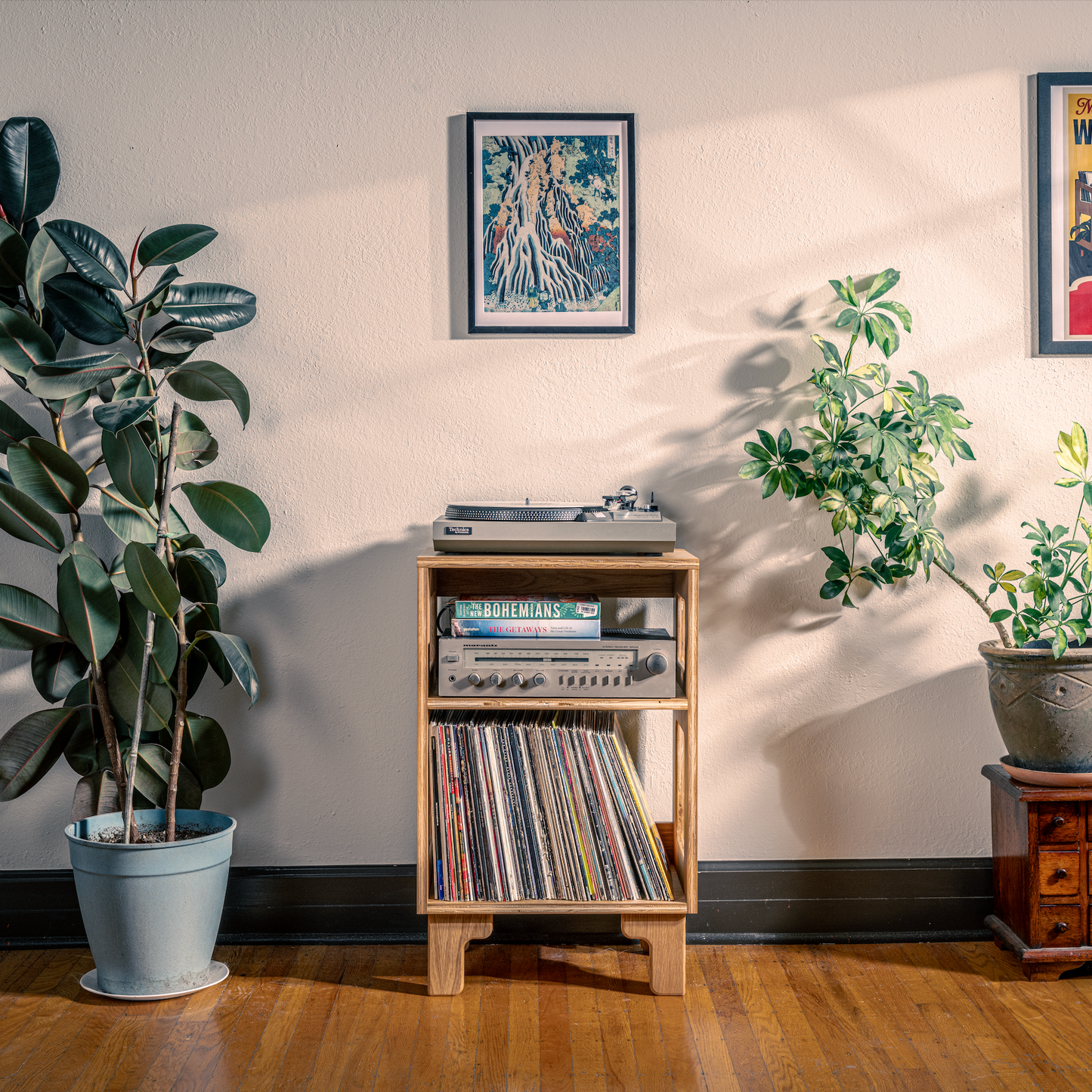 Room interior with vinyl records, plants, and wall art
