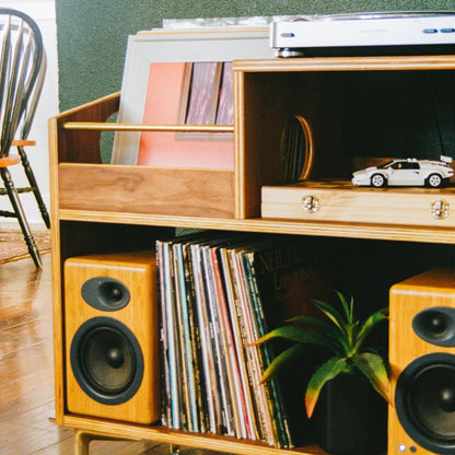 Walnut "A-Side" Vinyl Record Storage Cabinet
