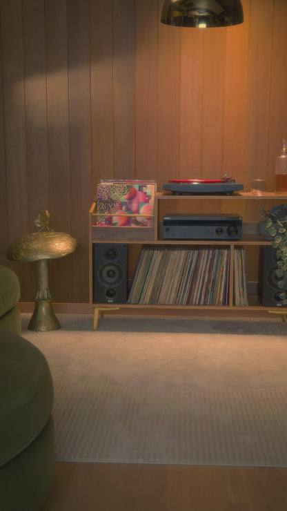 Walnut "Headliner" Vinyl Record Storage Cabinet